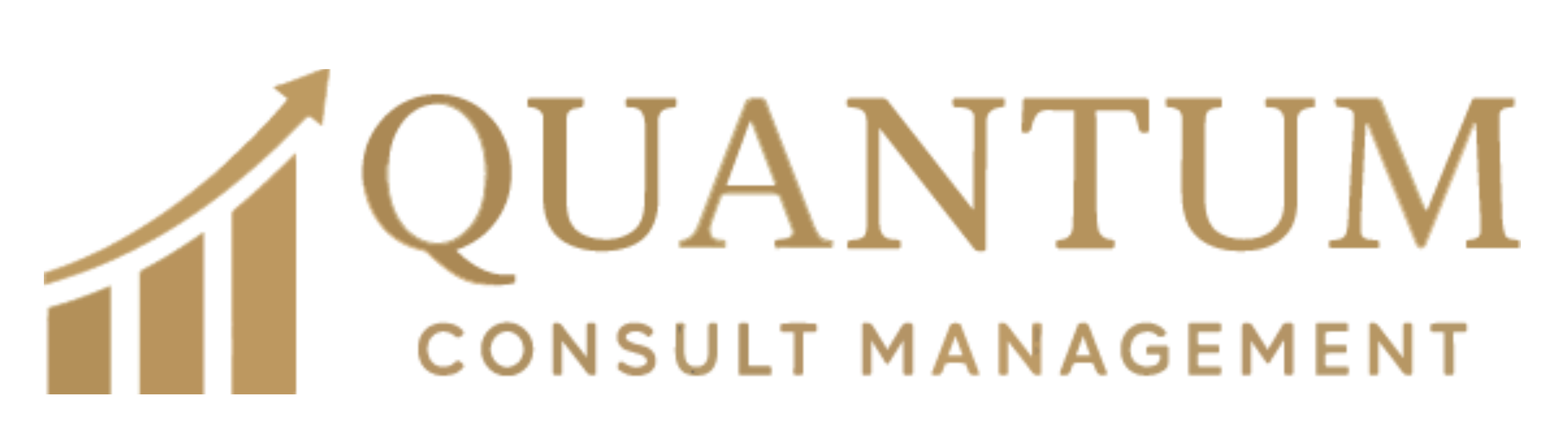 Logo Consult Quantum Management